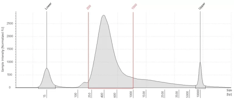 VASA-seq cDNA plot