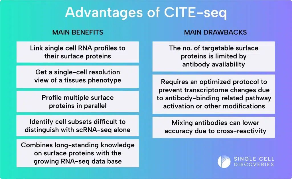 Advantages and limitations of CITE-seq. Advantages: Directly link a cell's RNA profile with its surface proteins, study samples at single-cell resolution, and at the high throughput of thousands of cells. With CITE-seq, you can identify cell subsets difficult to identify with single-cell RNA sequencing alone, and you can combine long-standing knowledge of surface protein analysis with ever more complete RNA-seq data. Finally, CITE-seq allows profiling multiple surface proteins simultaneously. Limitations: the number of targetable surface proteins is limited by antibody availability, an optimized protocol is required to prevent transcriptome changes due to pathway activation or protein changes due to antibody binding, and mixing antibodies can lower accuracy due to cross-reactivity.