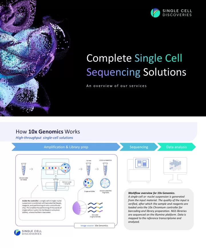 Information Guide
