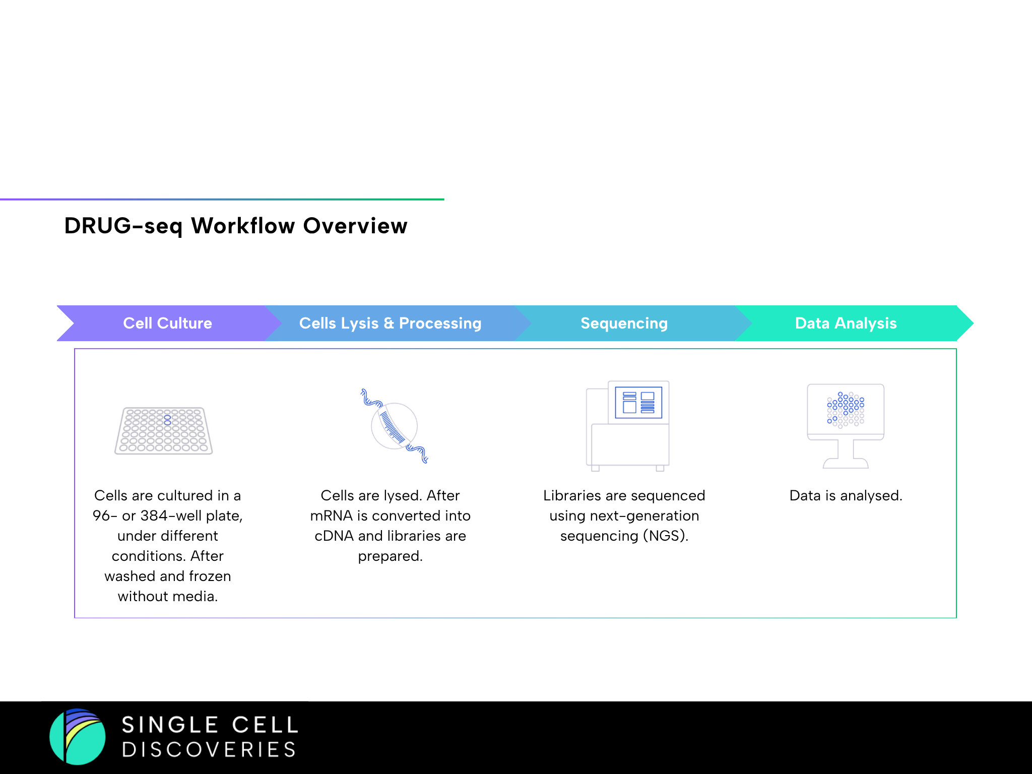 DRUG-seq workflow overview showing cell culture in multiwell plates, cell lysis and RNA processing, next-generation sequencing (NGS), and downstream data analysis for high-throughput compound screening and gene expression profiling.